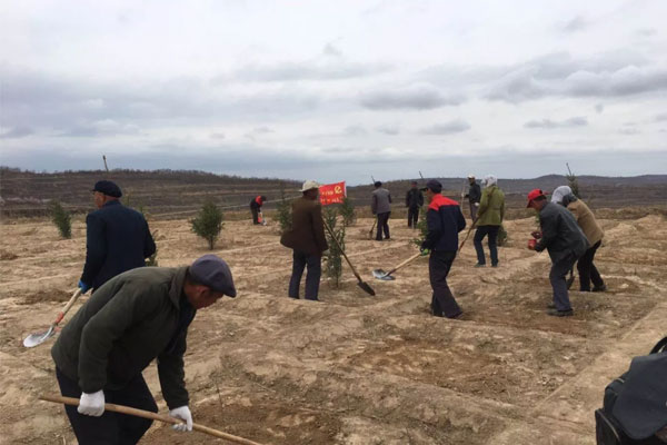 脱贫攻坚|东西对接“嫁”元宝，产业帮扶早脱贫